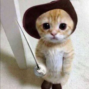 Meet your Posher, Max